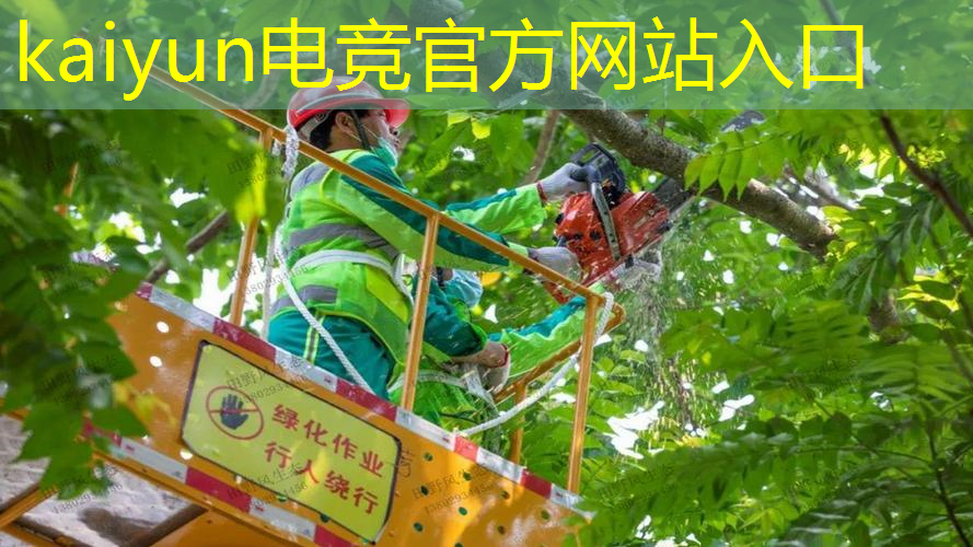 开云电竞：创新游戏原画设计方案怎么写
