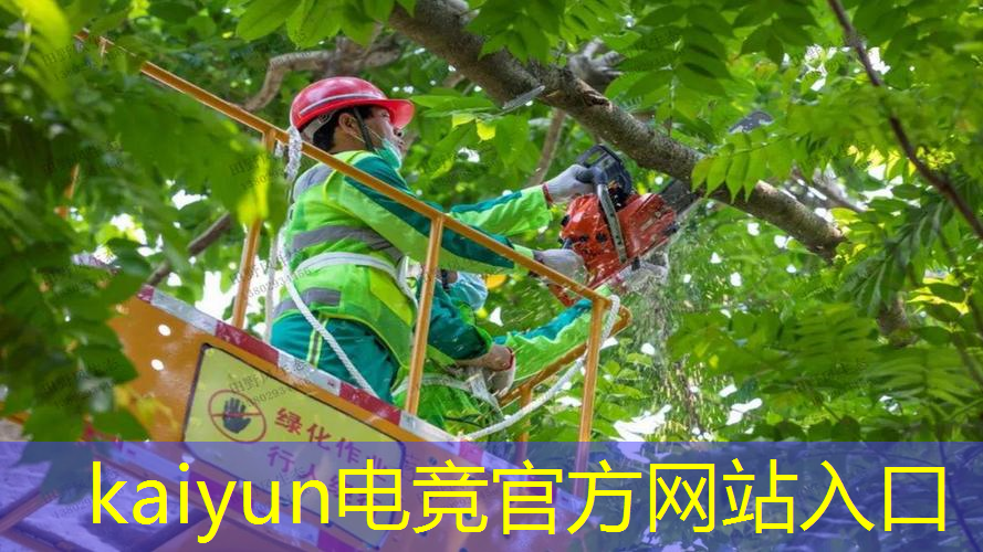 kaiyun电竞官方网站入口：做lpl职业电竞选手的条件