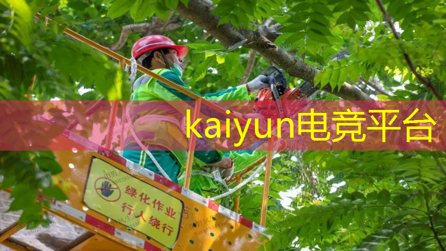 3d斩击游戏手游推荐