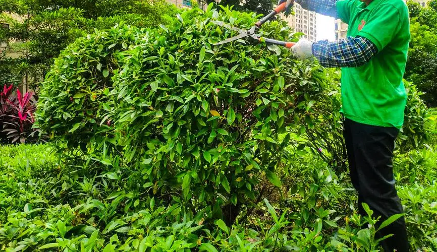 小程序游戏作业怎么做的