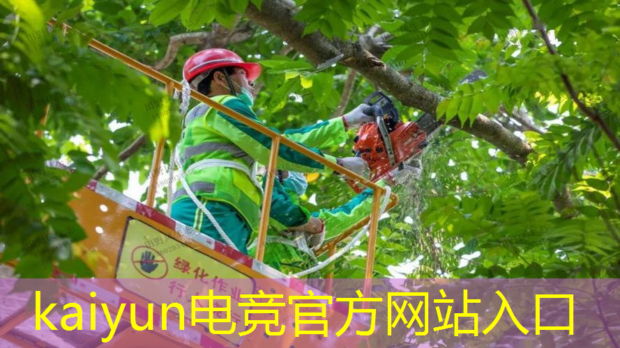 3d自由游戏男生